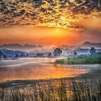 landscape