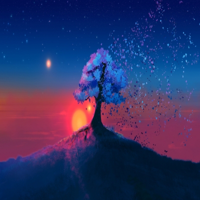 landscape